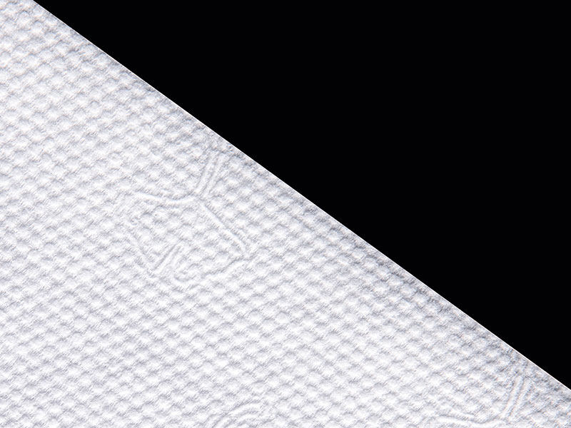 Tessuto non tessuto Spunlace in viscosa e poliestere Ginkgo Dot Style per salviette asciutte o umidificate