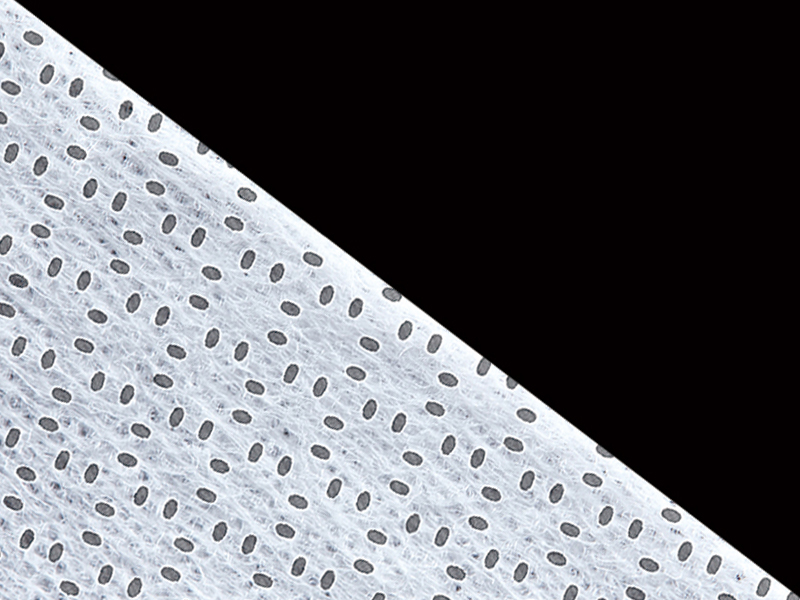 Tessuto non tessuto Spunmelt/Spunbond